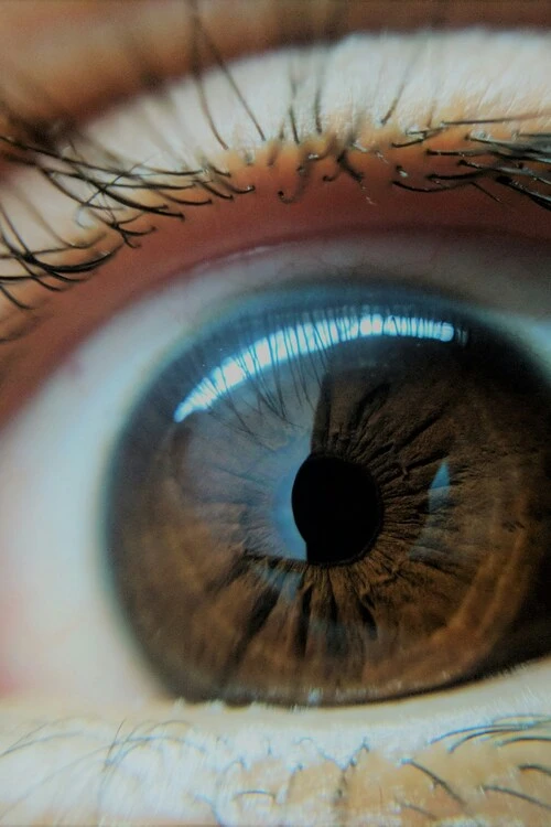 Akshit-dhasmana-kn3oxz34xqw-unsplash