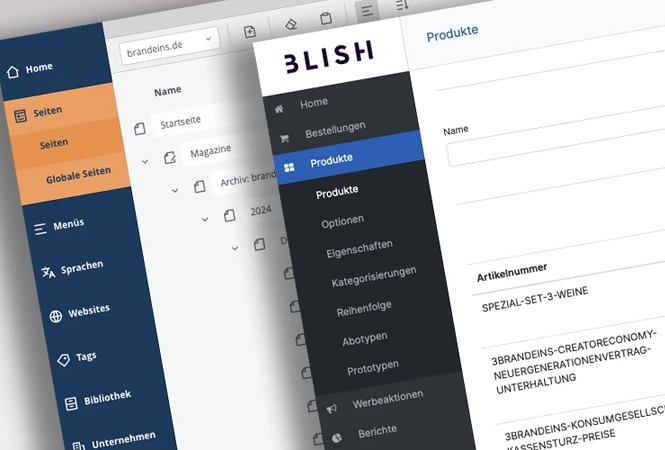 Brandeins-backend-screens